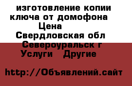 изготовление копии ключа от домофона  › Цена ­ 100 - Свердловская обл., Североуральск г. Услуги » Другие   